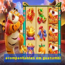 acompanhantes em guanambi